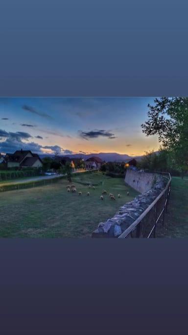 Gite Boniface Pour 2 Pers Bergheim Exterior photo