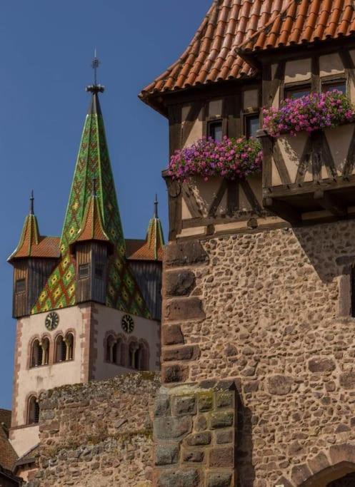 Gite Boniface Pour 2 Pers Bergheim Exterior photo
